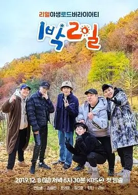 奔跑吧 综艺 2024 第十二季